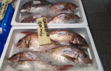 地物の魚が安い！ファミリーマートさとう 中央店 【青森県むつ市中央】